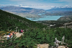 Torres del Paine: W-Runde in der Berghütte (5 Tage)