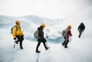 Torres del Paine: Circuito W en Refugio de Montaña (5 días)