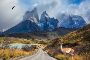 Torres del Paine: W Trek Express