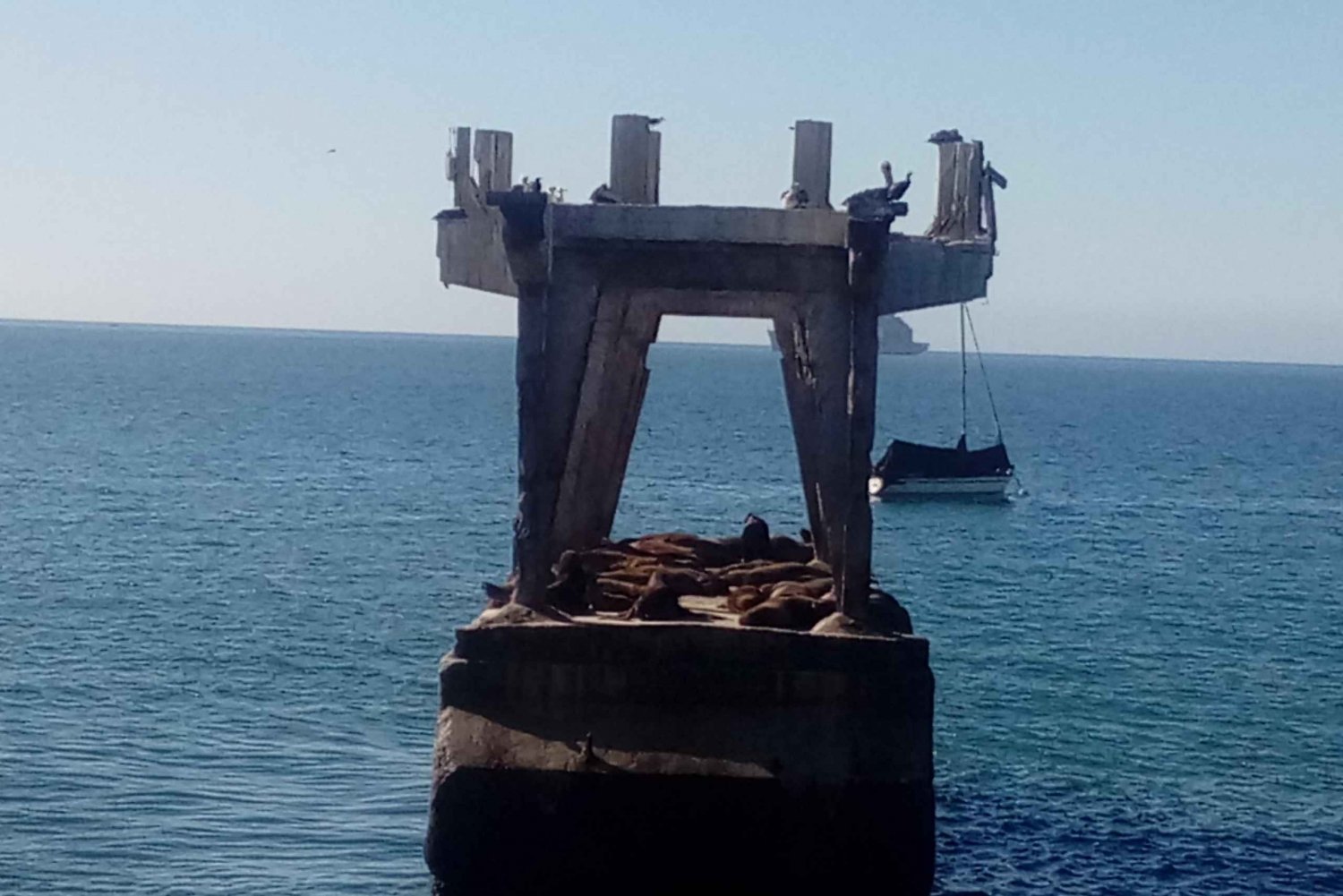 Valparaíson aidot markkinat