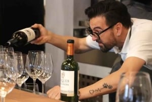 Tour and Tasting at Viña Concha y Toro