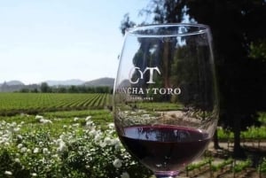 Tour and Tasting at Viña Concha y Toro