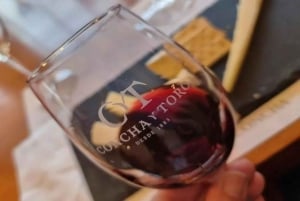 Tour and Tasting at Viña Concha y Toro