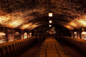 Tour and Tasting at Viña Concha y Toro