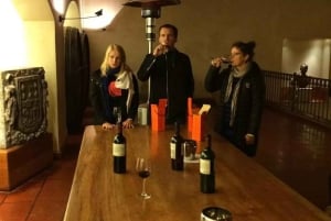 Tour and Tasting at Viña Concha y Toro