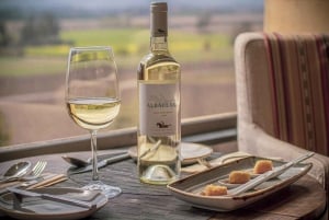 Private Wine Tour Maipo Valley and Andes Mountain