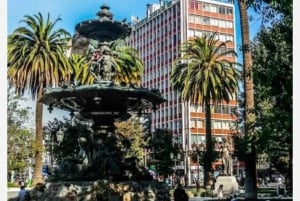 Tour al interior de Museos, Palacios y Templos en Valparaíso