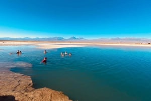 Excursión a la Laguna Cejar: San Pedro de Atacama