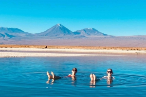 Cejar Lagoon Tour: San Pedro de Atacama