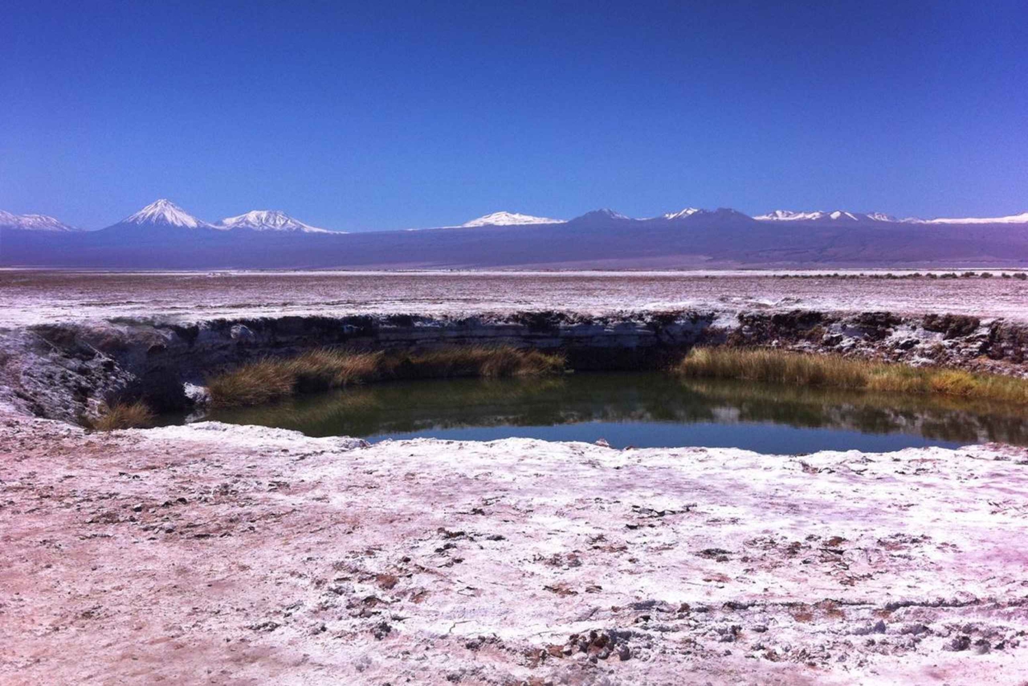 Visite de la Laguna Cejar