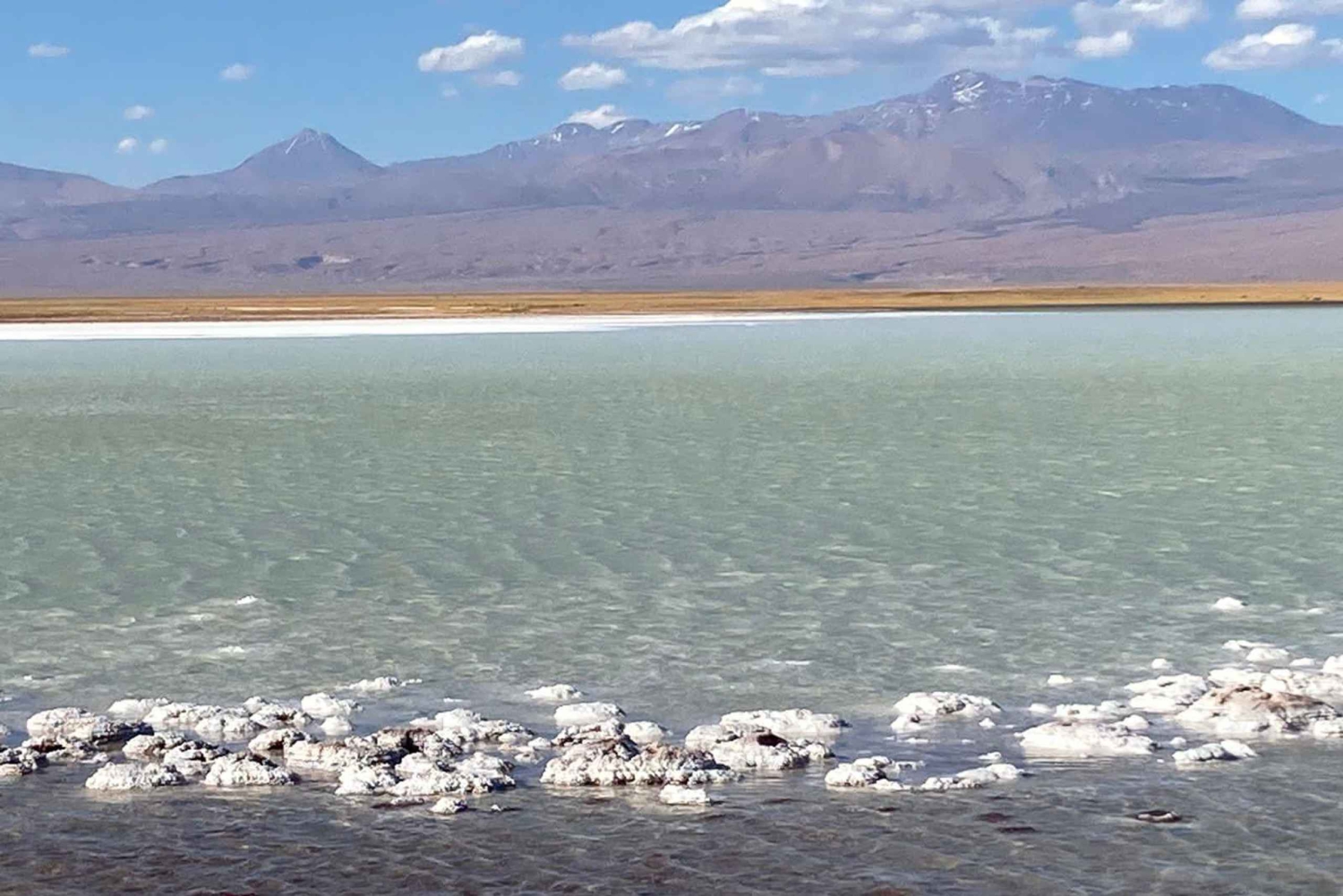 Visite de la Laguna Cejar
