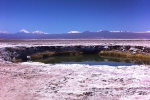 Visite de la Laguna Cejar