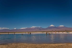 Visite de la Laguna Cejar