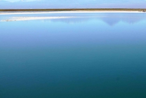 Visite de la Laguna Cejar