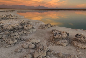 Visite de la Laguna Cejar