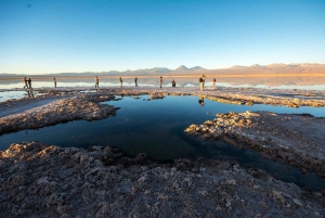 Visite de la Laguna Cejar