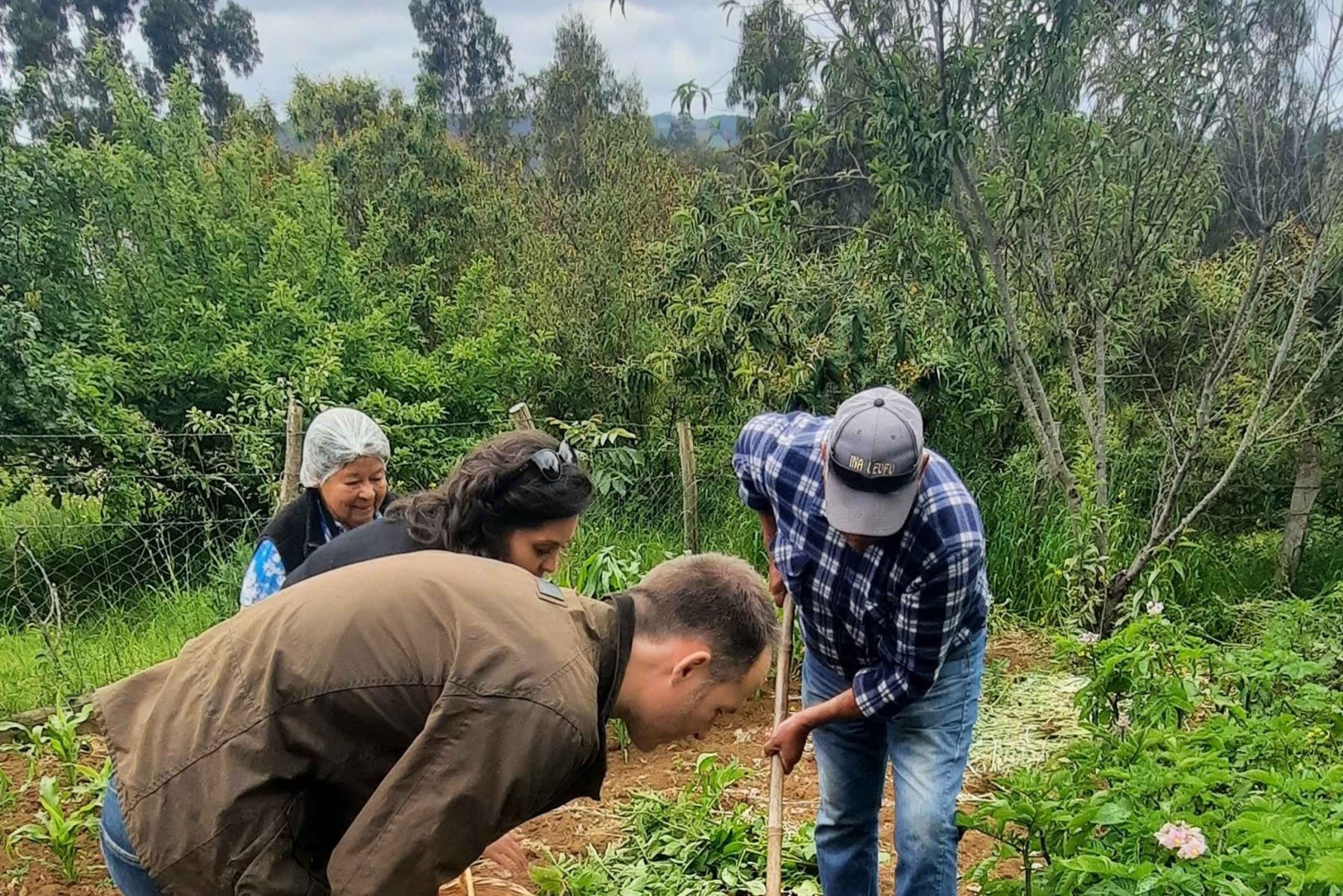 Tour Mapuche Gemeenschap Araucanía