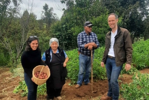 Visite de la communauté Mapuche Araucanía