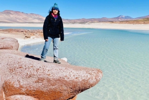 Tour Piedras Rojas + Altiplanische Lagunen + Lagune Chaxa