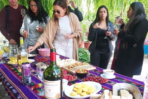 TOUR PORTILLO, LAGOON OF THE INCA + PICNIC