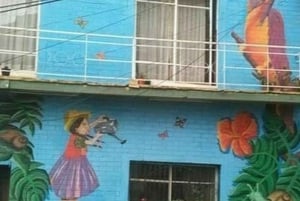 Privat tur Valparaíso, Viña del Mar & Concón Dune