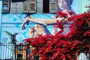 Privat tur Valparaíso, Viña del Mar & Concón Dune