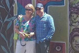 Privat tur Valparaíso, Viña del Mar & Concón Dune