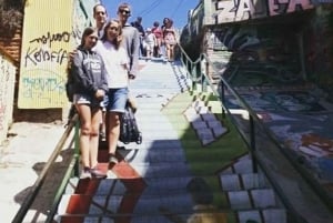 Privat tur Valparaíso, Viña del Mar & Concón Dune