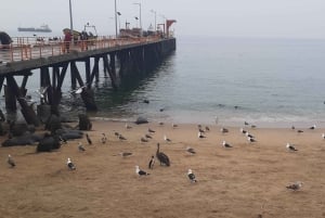 Retki Viña del Mariin, Reñacaan ja Conconiin