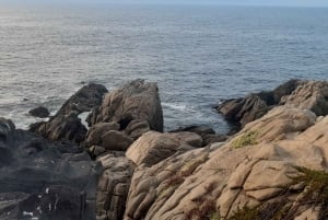 Retki Viña del Mariin, Reñacaan ja Conconiin