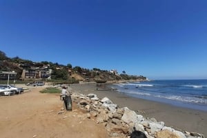 Retki Viña del Mariin, Reñacaan ja Conconiin