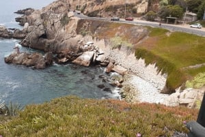 Retki Viña del Mariin, Reñacaan ja Conconiin