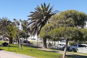 Retki Viña del Mariin, Reñacaan ja Conconiin