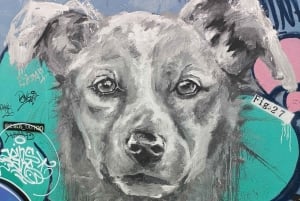 Retki Viña del Mariin, Reñacaan ja Conconiin