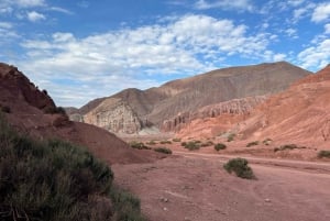 Rainbow Valley Tour + Petroglyphs (Yerbas Buenas)