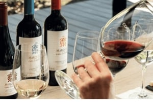 Tour met lunch bij Viña Concha y Toro