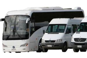 Transfer z hotelu lub portu w Valparaiso do Santiago