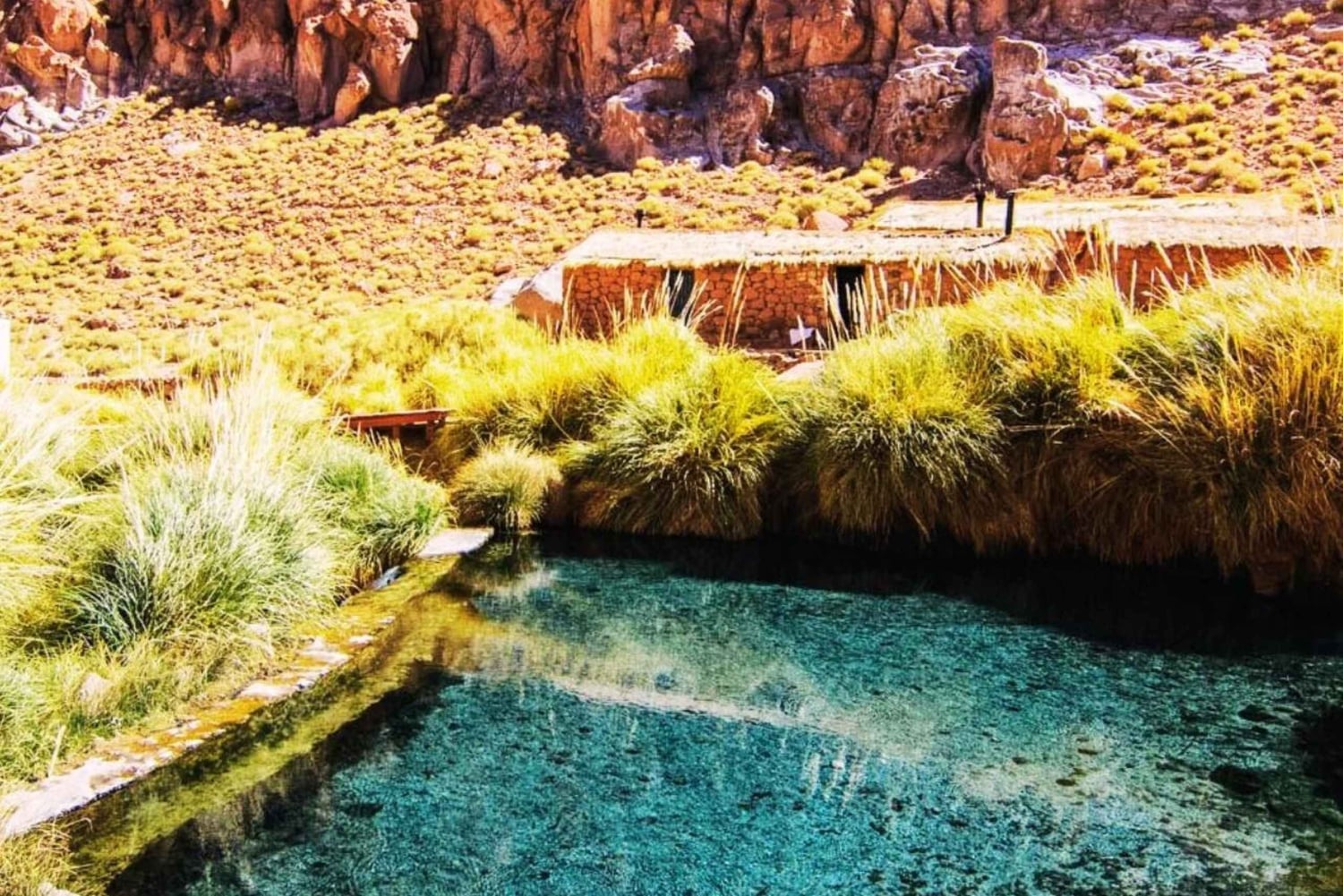 TRASLADO A LAS TERMAS DE PURITAMA