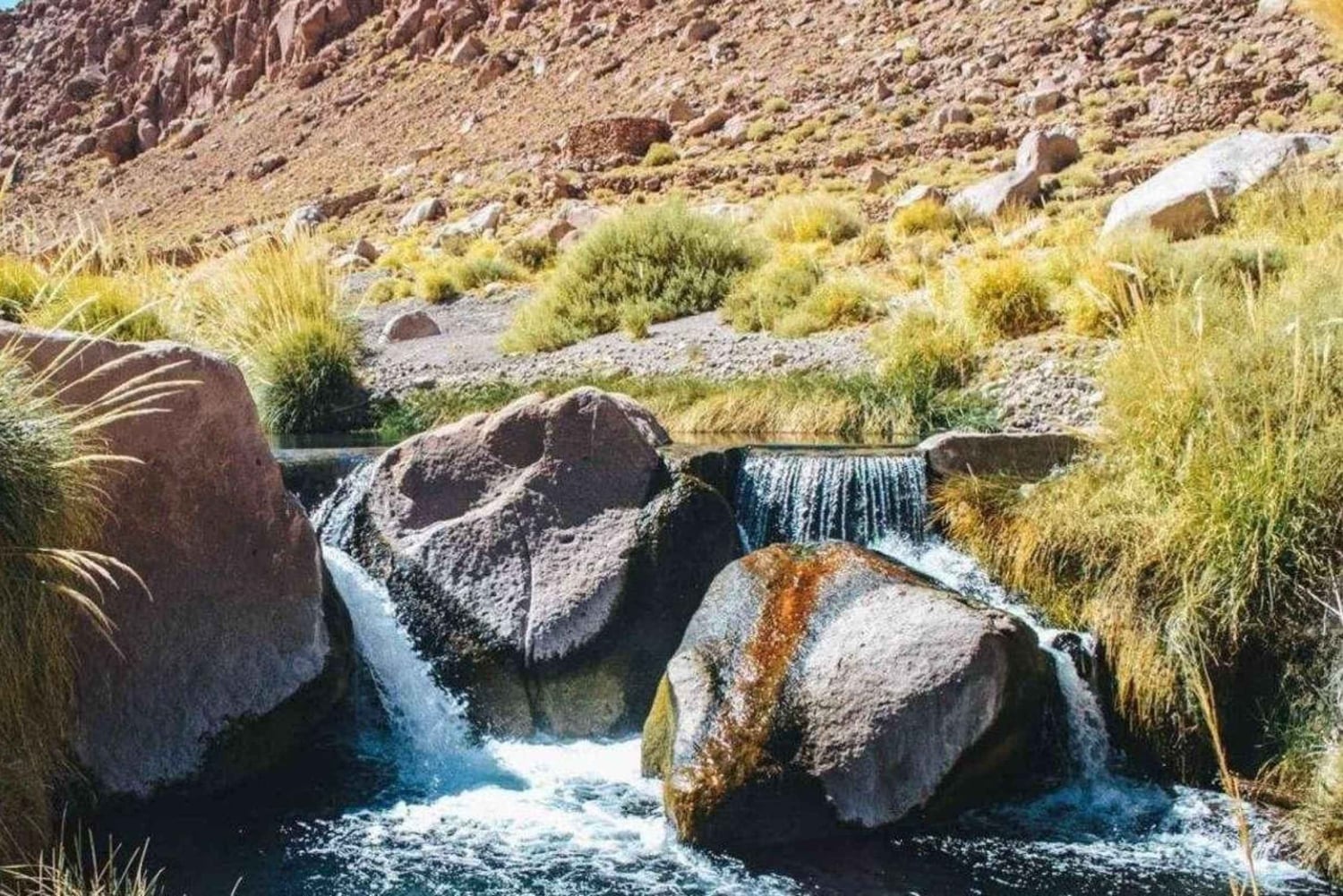 TRASLADO A LAS TERMAS DE PURITAMA