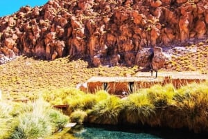 TRASLADO A LAS TERMAS DE PURITAMA