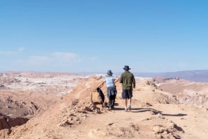 Transfers nach San Pedro de Atacama (gemeinsamer Service)