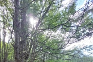 Треккинговый маршрут в Лас Хоркетас - Серро Кастильо Патагония