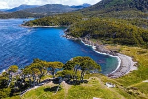 Punta Arenas: Walk to the southernmost lighthouse