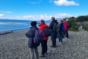 Punta Arenas: Walk to the southernmost lighthouse