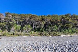 Punta Arenas: Walk to the southernmost lighthouse