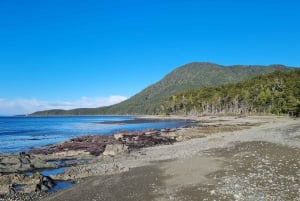 Punta Arenas: Walk to the southernmost lighthouse