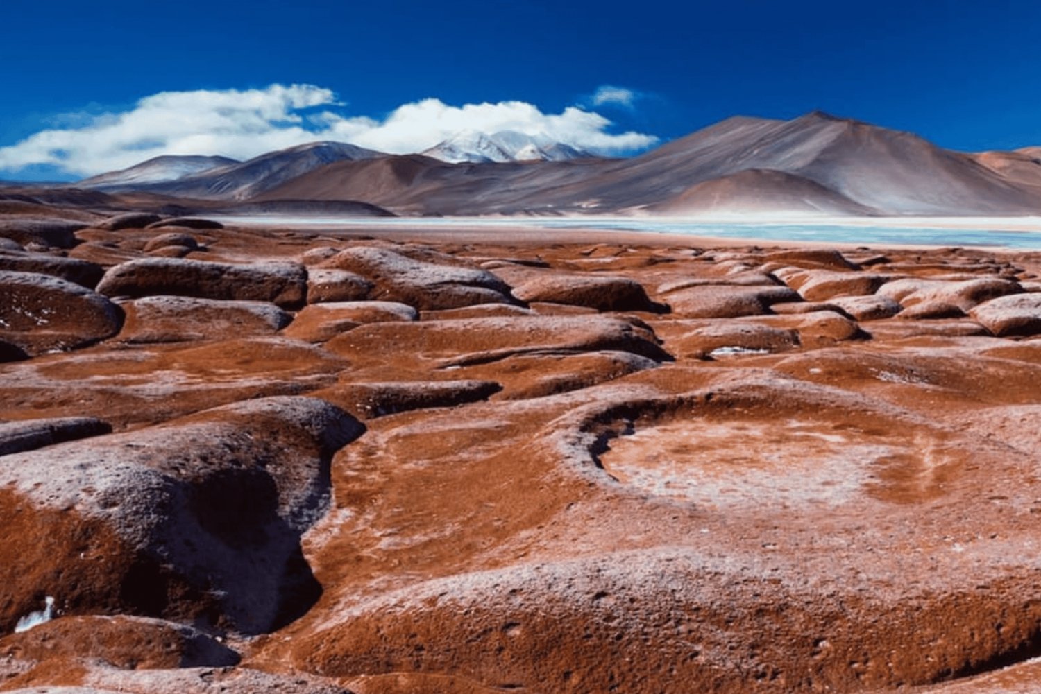 Triple Tour: Piedras Rojas, Altiplanic Lagoons, and Laguna Chaxa.