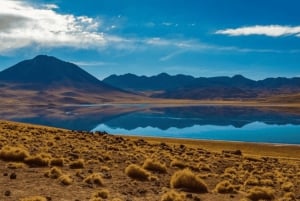 Tour Triple: Piedras Rojas, Lagunas Altiplánicas y Laguna Chaxa.