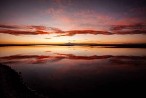 Tredobbelt tur: Piedras Rojas + Altiplanic Lagoons + Chaxa Lagoon