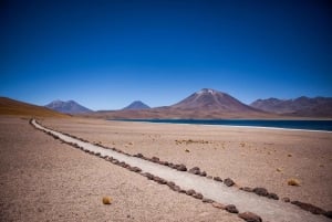 Trippel tur: Piedras Rojas + Altiplano-lagunerna + Chaxa-lagunen